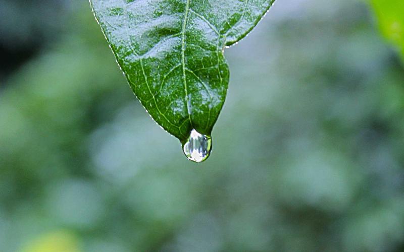 Dramapyram Procesos — oficina