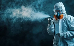 Usługi Sanitarne dezynsekcja, dezynfekcja i&nbsp;deratyzacja